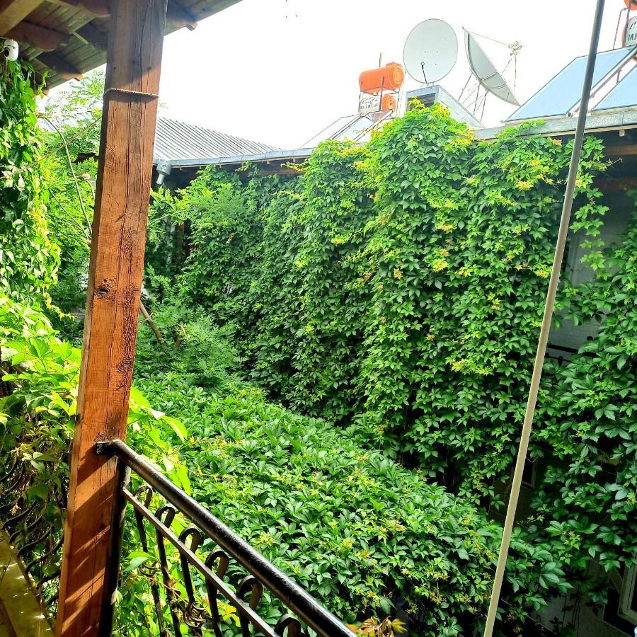 Hotel Rahmon Samarkand Esterno foto